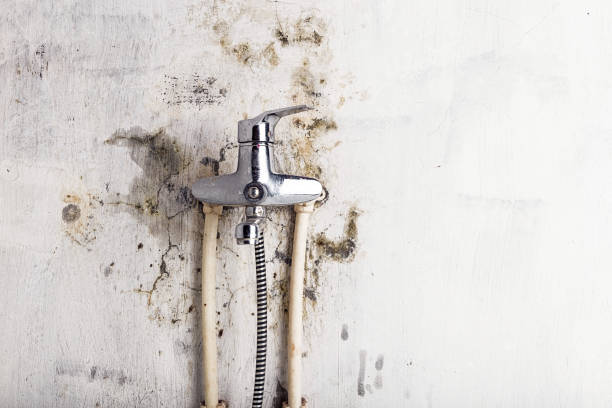 Best Mold Remediation  in Fetters Hot Springs Agua Liente, CA