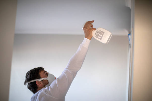 Best Toxic Mold Removal  in Fetters Hot Springs Agua Liente, CA
